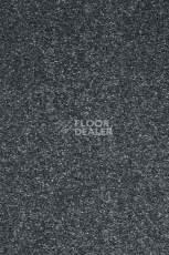 Ковролин AW Invictus Atticus Atticus 74 фото 1 | FLOORDEALER